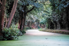 108-14-000820 - Brecon canal  -  August 20, 2000