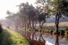 109-14-000821 - Trees on Brecon canal  -  August 21, 2000