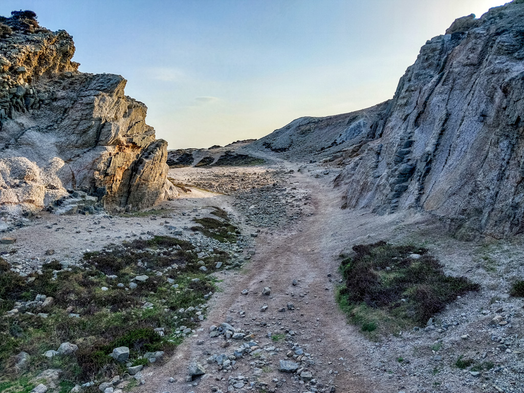 1/730 sec at f / 1.84 mm  ISO 20