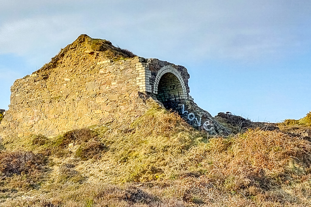 1/310 sec at f / 1.84 mm  ISO 20