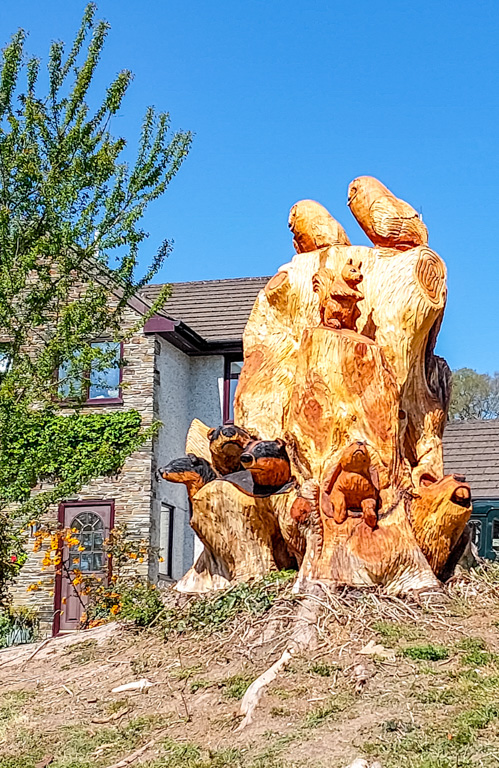 1/750 sec at f / 1.84 mm  ISO 20