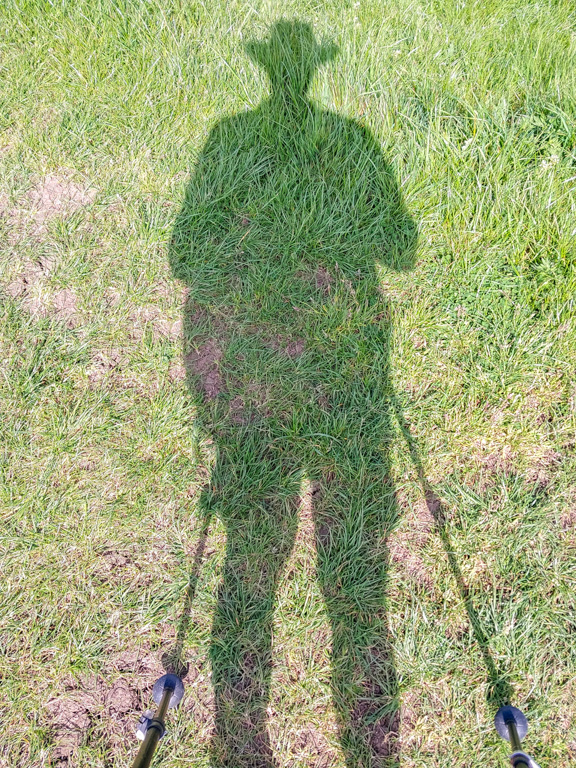 1/230 sec at f / 1.84 mm  ISO 20