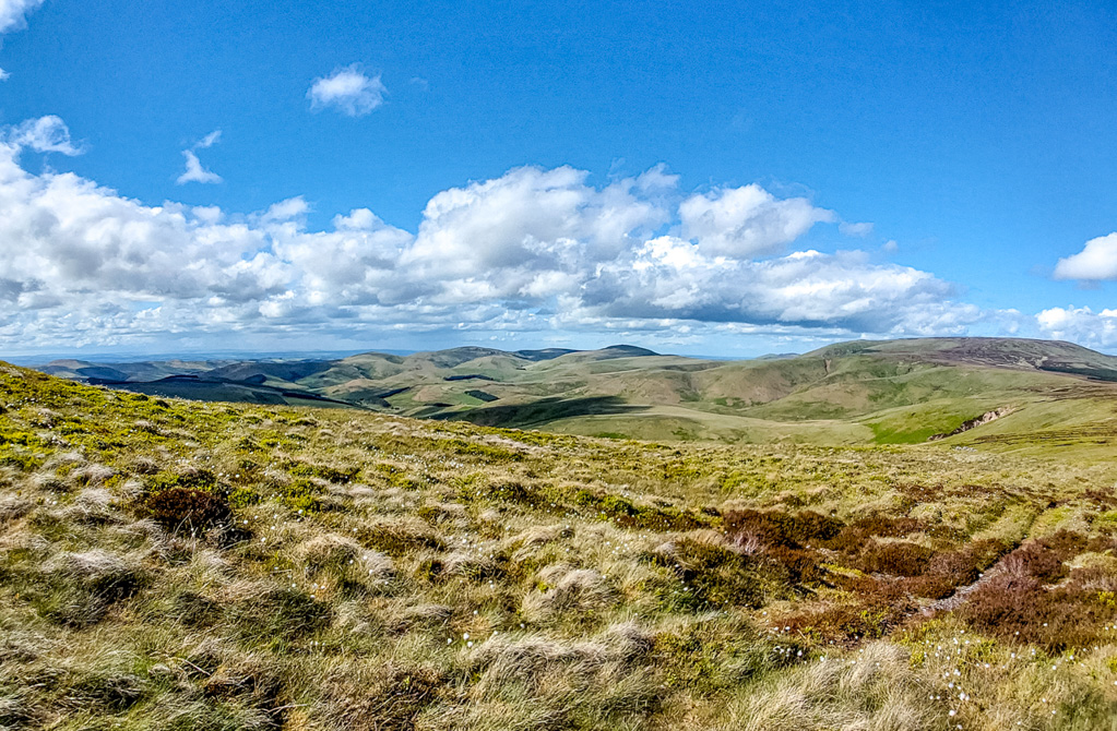 1/2300 sec at f / 2.21.42 mm  ISO 64