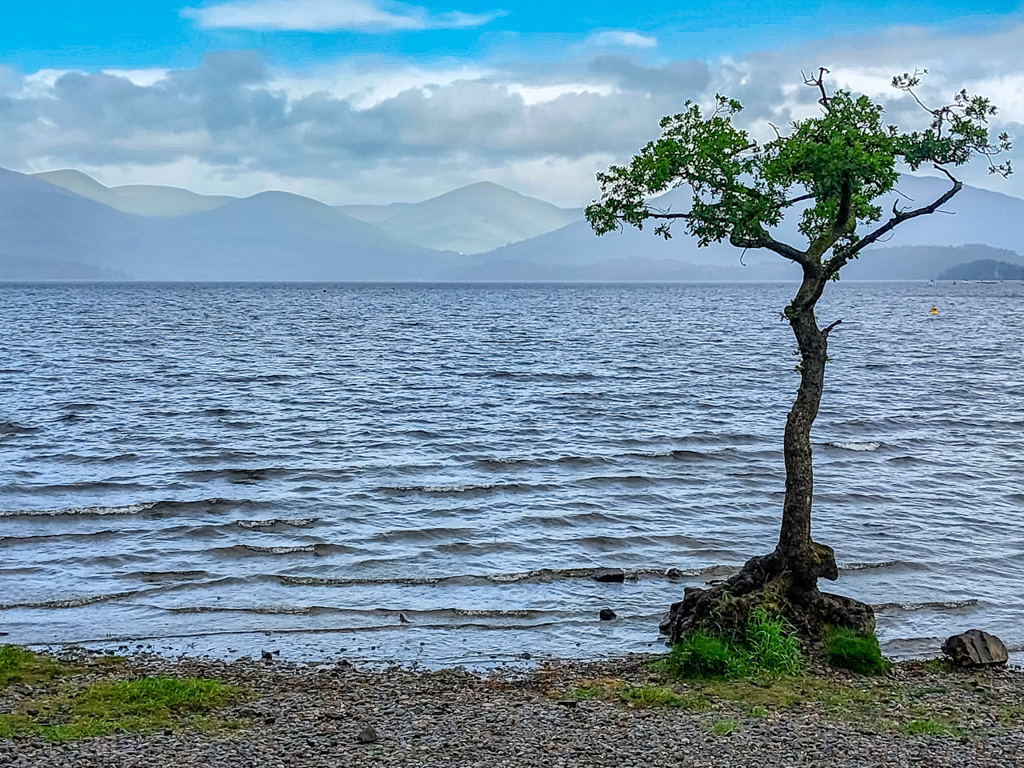 1/320 sec at f / 1.84 mm  ISO 20