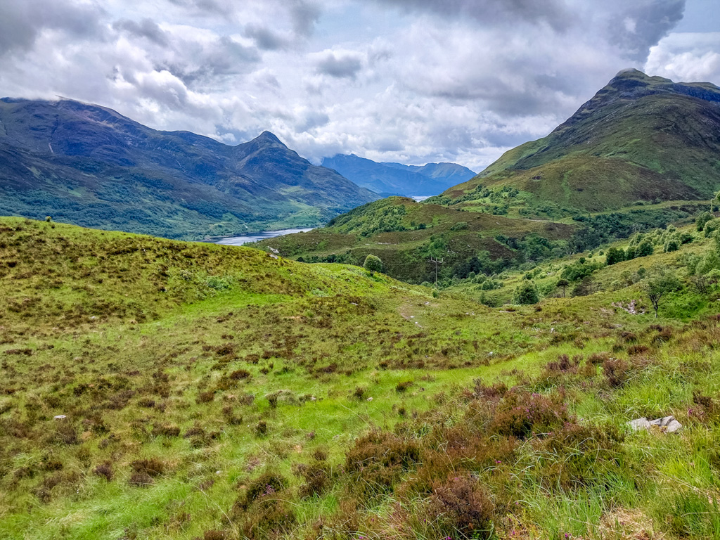 1/850 sec at f / 1.84 mm  ISO 20