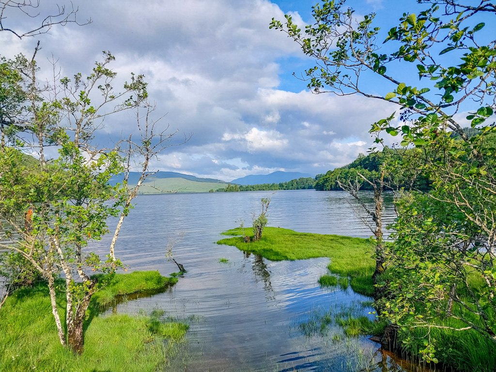 1/590 sec at f / 1.84 mm  ISO 20