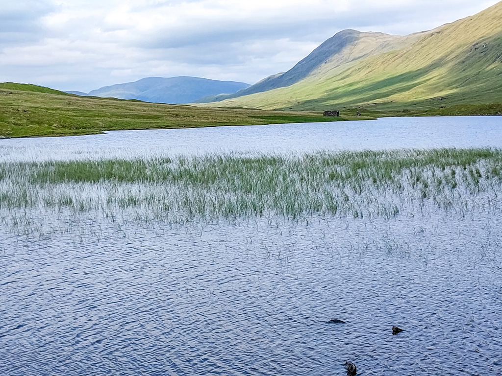 1/500 sec at f / 1.84 mm  ISO 20