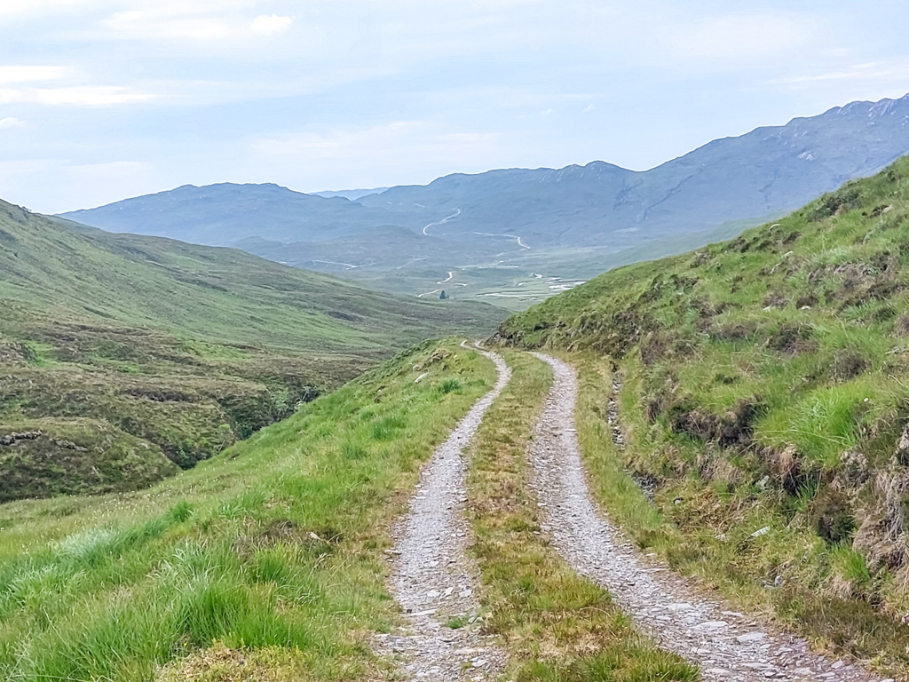 1/450 sec at f / 1.84 mm  ISO 20