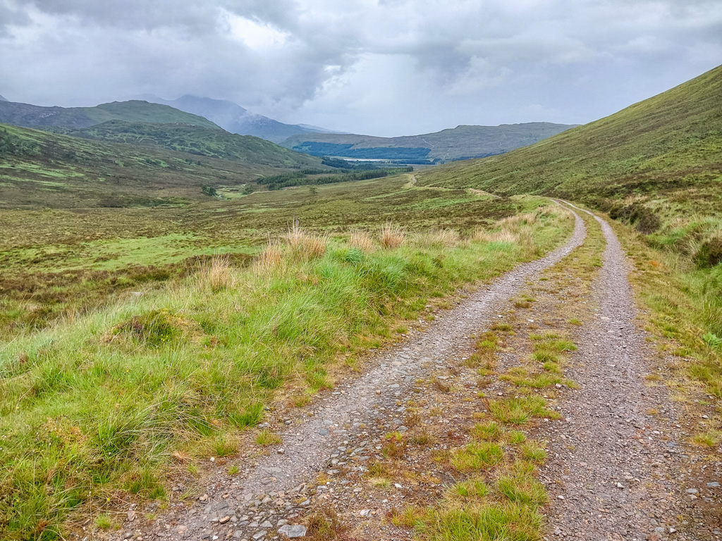 1/400 sec at f / 1.84 mm  ISO 20