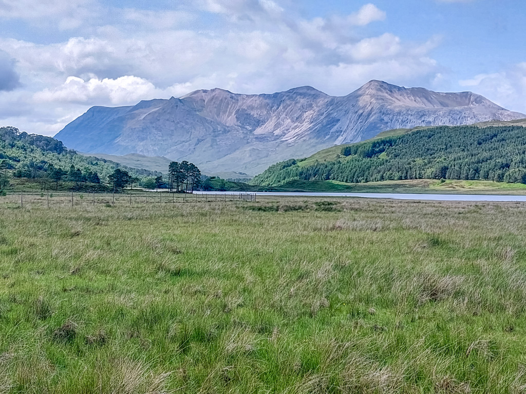 1/590 sec at f / 1.84 mm  ISO 20