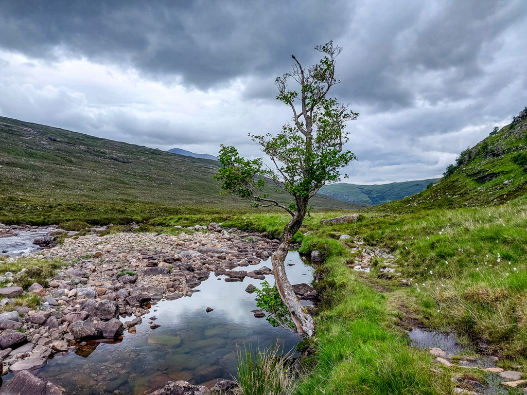 1/320 sec at f / 1.84 mm  ISO 20