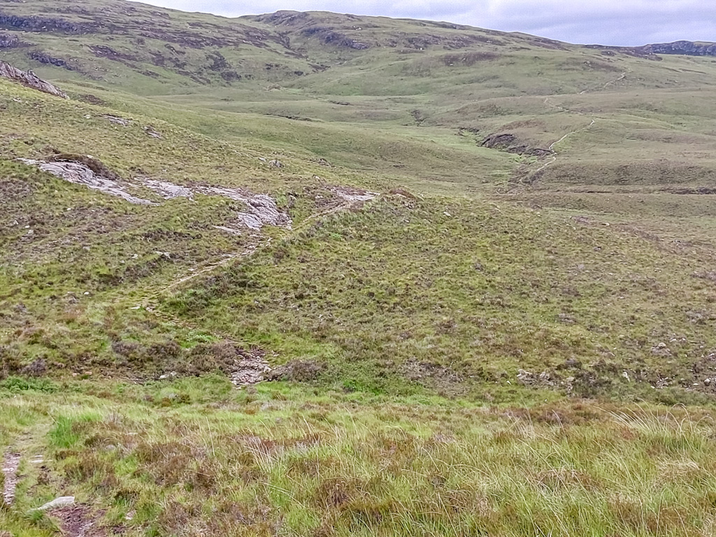 1/160 sec at f / 1.84 mm  ISO 20