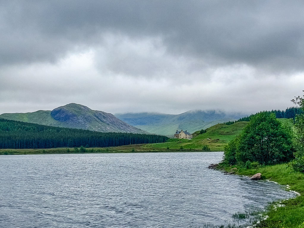 1/400 sec at f / 1.84 mm  ISO 20