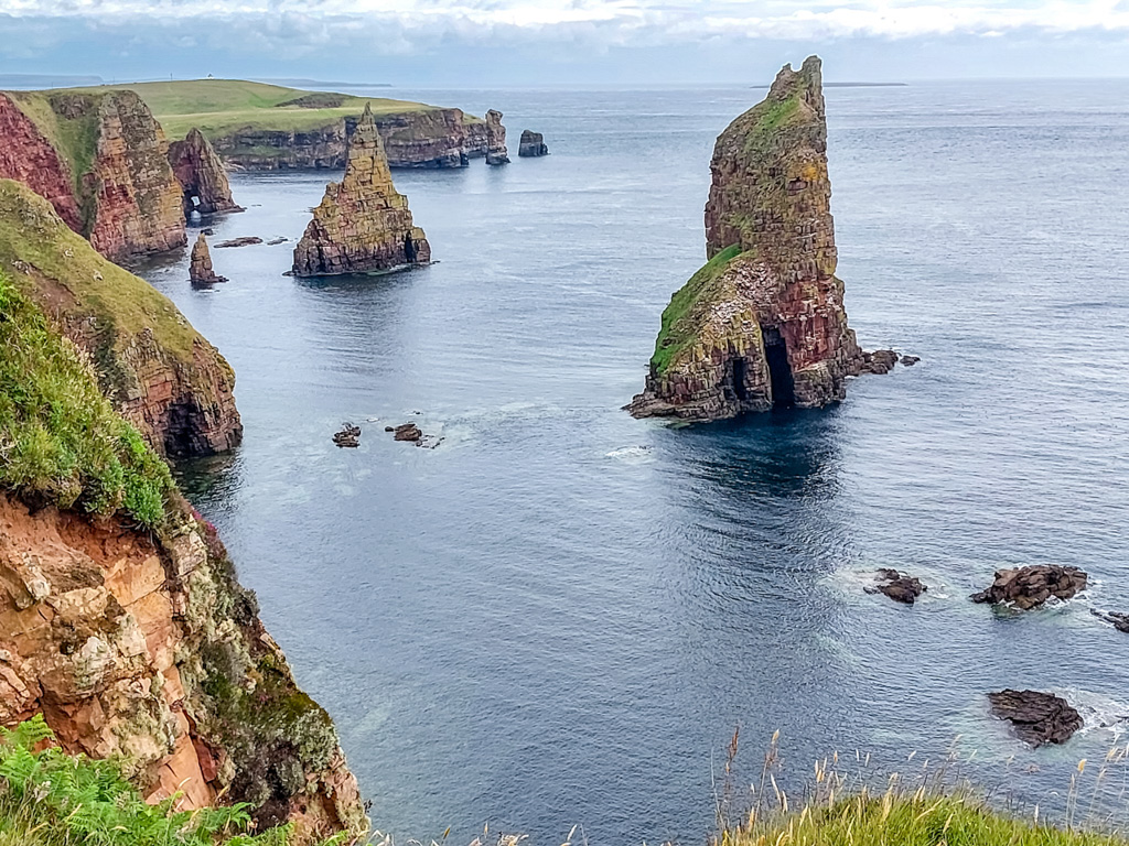 1/370 sec at f / 1.84 mm  ISO 20