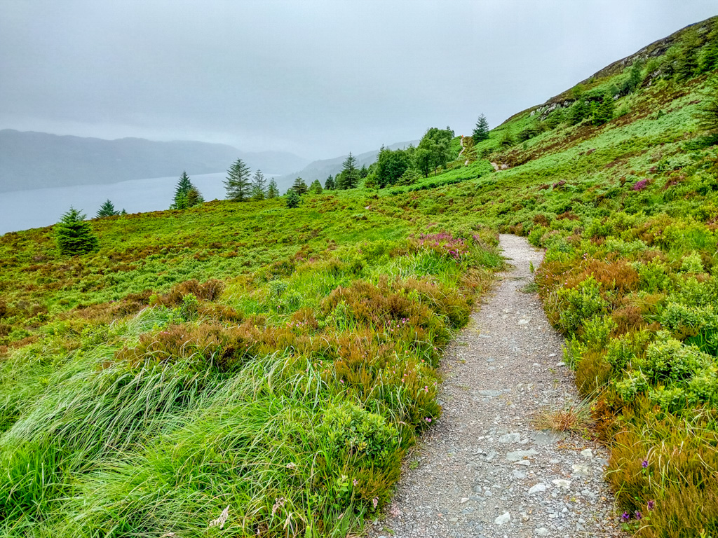 1/270 sec at f / 1.84 mm  ISO 20