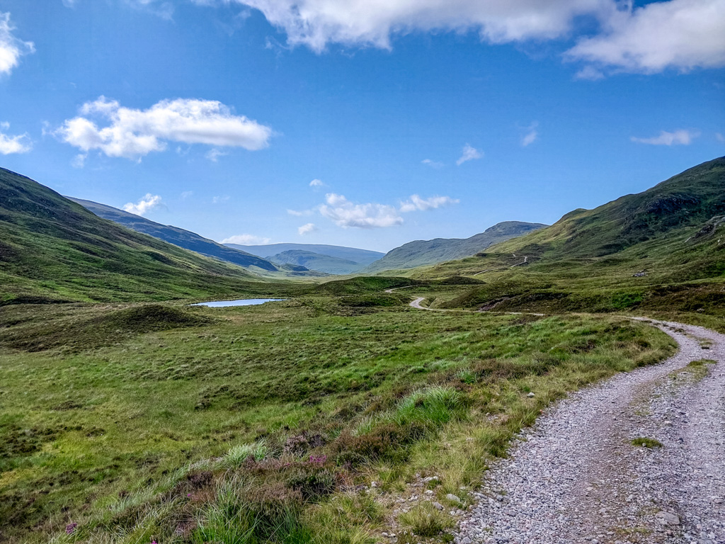 1/800 sec at f / 1.84 mm  ISO 20