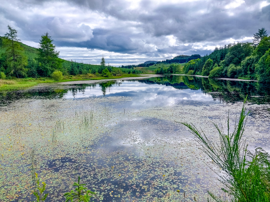 1/530 sec at f / 1.84 mm  ISO 20