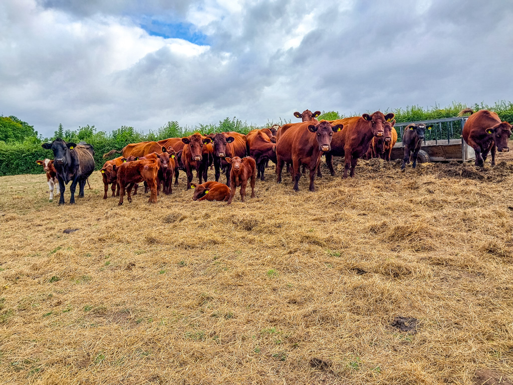 1/340 sec at f / 1.84 mm  ISO 20