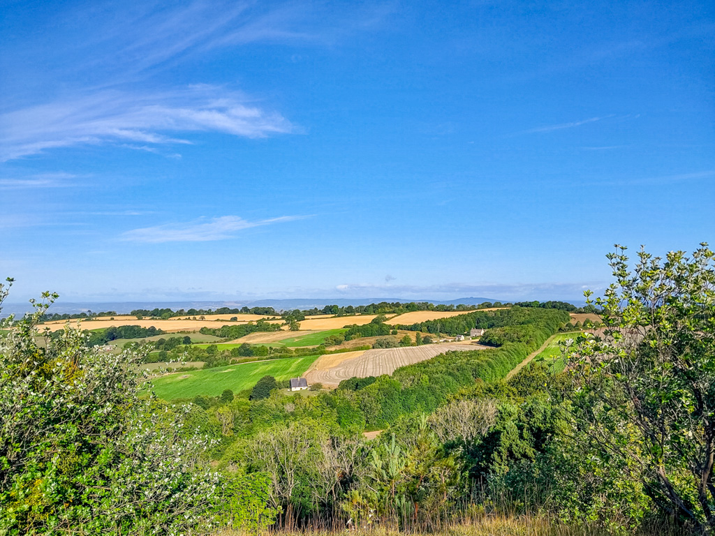 1/800 sec at f / 1.84 mm  ISO 20