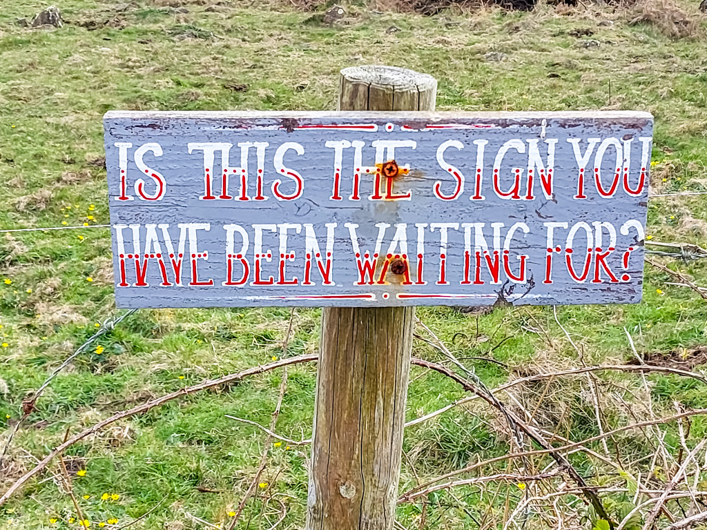 <center>2504-0014 - Sign - Is this the sign you've been waiting for -  April 03, 2025  <br>  (1/320 sec at f / 1.8 ISO 20    4 mm) </center>