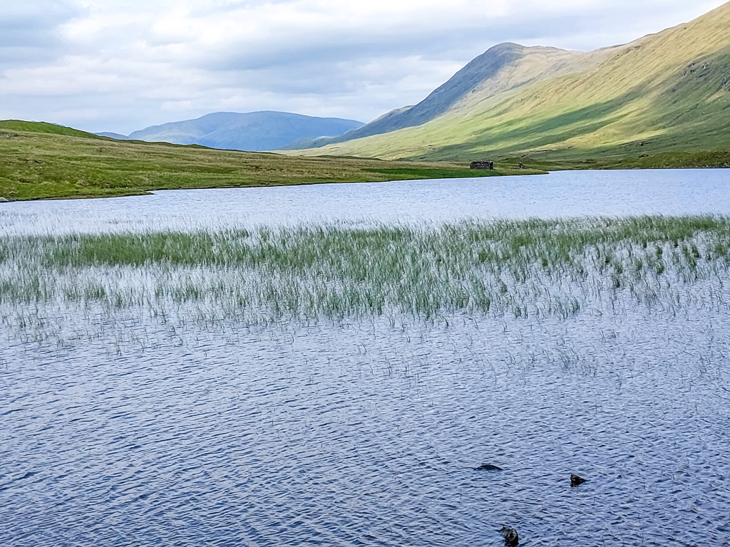 <center>2506-0041 - Loch Gaorsaic -  June 11, 2025  <br>  (1/500 sec at f / 1.8 ISO 20    4 mm) </center>