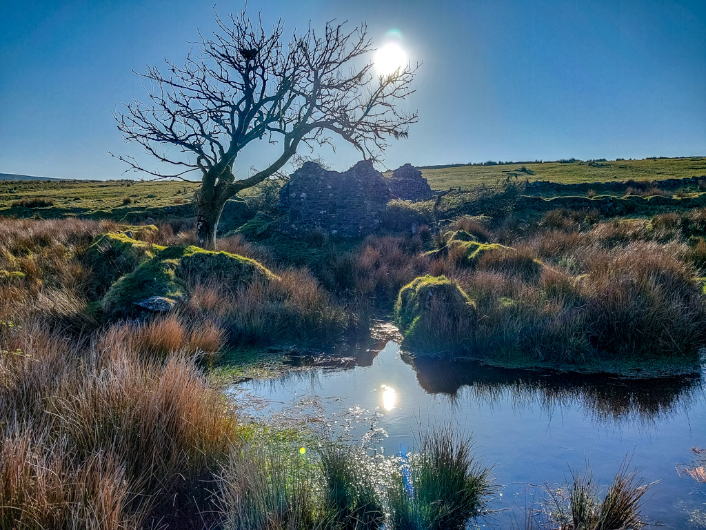 <center>2508-0028 - Tree and ruin on Bodmin Moor -  April 09, 2025  <br>  (1/1400 sec at f / 1.8 ISO 20    4 mm) </center>