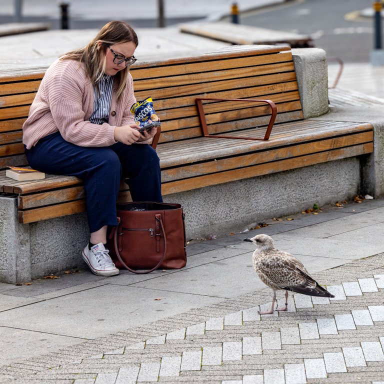 <center>2509-0021 - Seagull watching woman eating crisps - Liverpool -  September 30, 2025  <br>  (1/400 sec at f / 11 ISO 500    90 mm) </center>