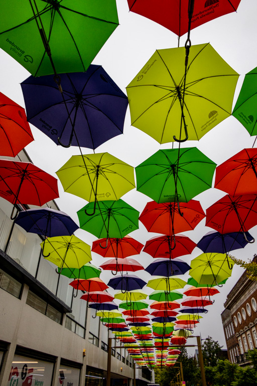 <center>2510-0011 - Umbrella canopy -  October 03, 2025  <br>  (1/320 sec at f / 10 ISO 1000    24 mm) </center>