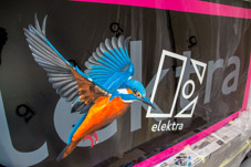 2107-0017 - Elektra - Logo on side panel  -  July 03, 2021