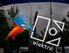 2107-0018 - Elektra - Logo on rear doors  -  July 03, 2021