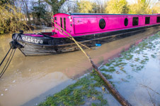 2401-0028 - Lash up with branches to keep elektra afloat  -  January 04, 2024