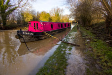 2401-0029 - Lash up with branches to keep elektra afloat  -  January 04, 2024
